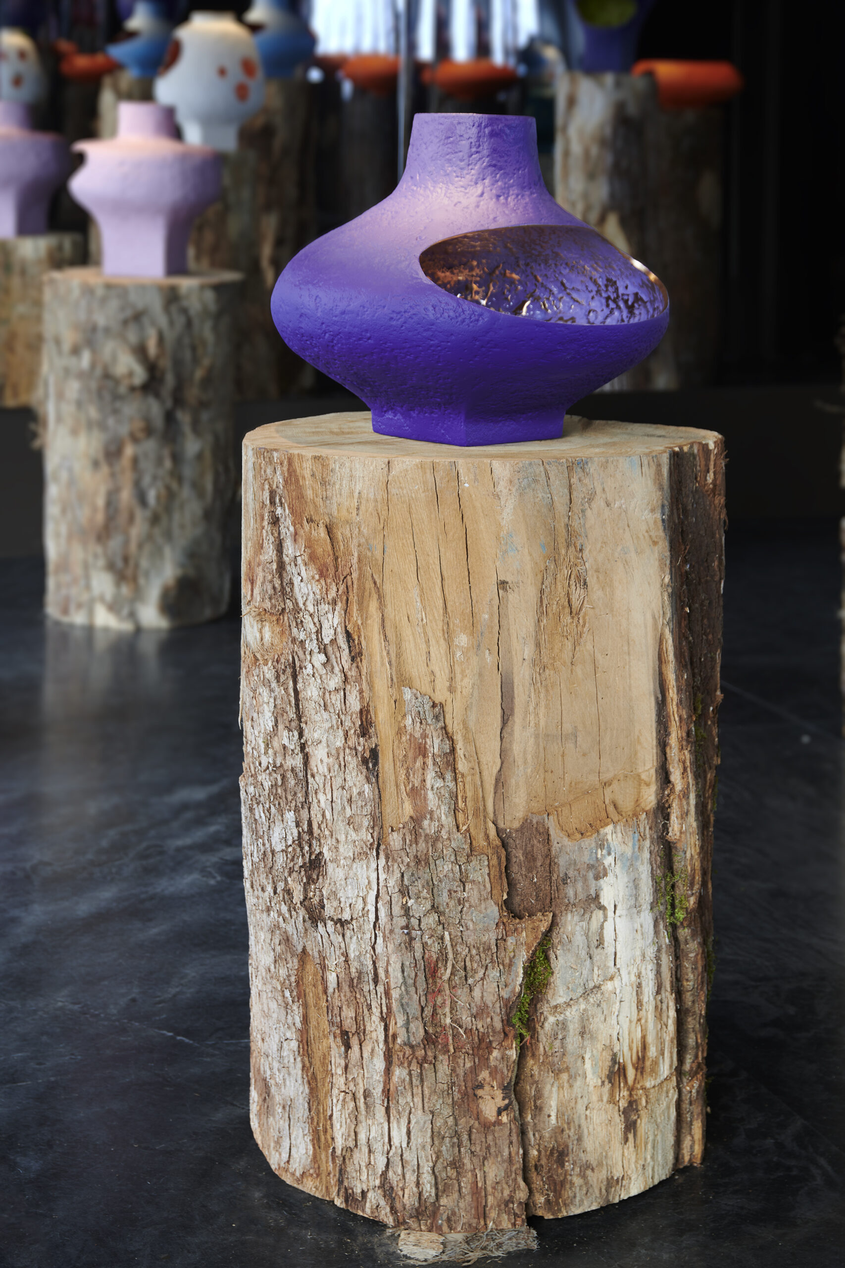 Laffanour Galerie Downtown x Kris Van Assche presents NECTAR VESSELS BRONZES