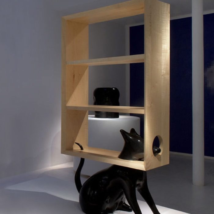 pucci-de-rossibibliotheque-cave-canem-01 copy